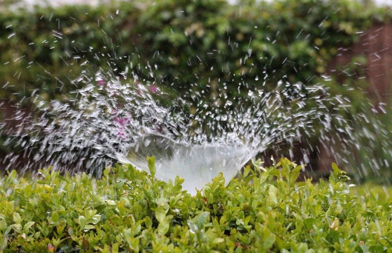 HOW DEEP ARE SPRINKLER LINES (5 amazing tips)