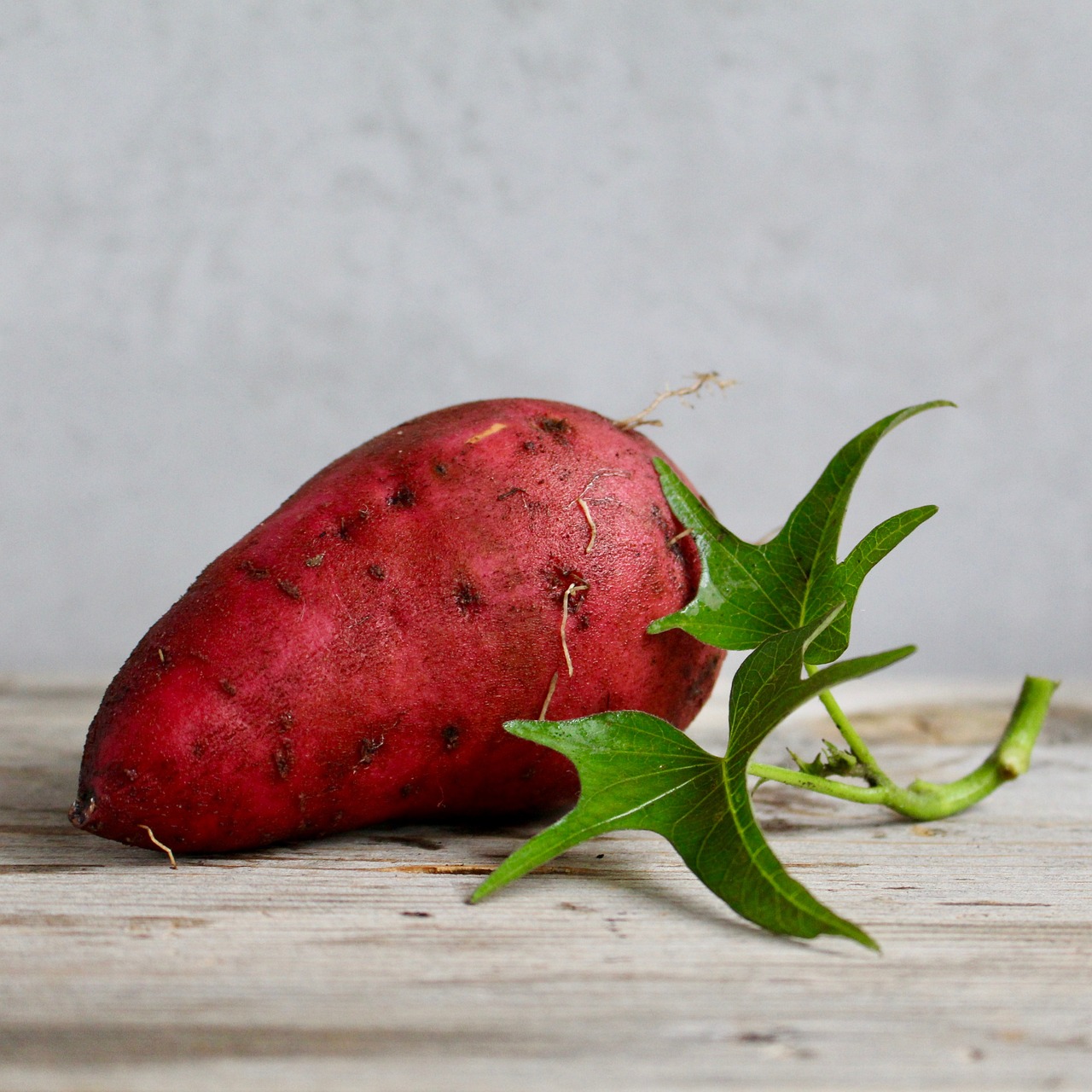 CAN YOU GROW SWEET POTATOES IN THE UK