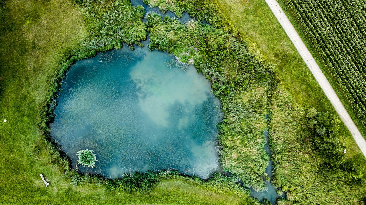 WHEN IS THE BEST TIME TO CLEAN OUT A POND